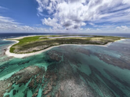 Atoll Crisis : US Air Force Suspends SpaceX Rocket Cargo Project