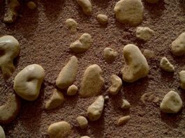 NASA Stunned by Mars Discovery – Perfect Spheres Raise Big Questions