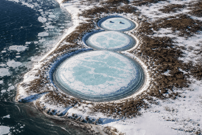 frozen lagoons NASA captures extraordinary snowman-shaped frozen lagoons in Russia Arctic region