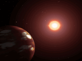 For the first time ever, astronomers measured the structure of a white dwarf using X-ray polarization