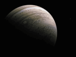 Jupiter’s moon Europa shows ammonia suggesting possible ingredients for life in its hidden ocean