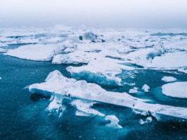 Arctic sea ice research reaches a significant milestone with innovative satellite technology testing