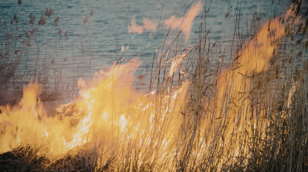 Canada adjusts its WildFireSat strategy to ensure better space based wildfire detection by 2029