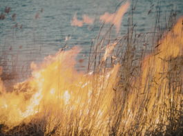 Canada adjusts its WildFireSat strategy to ensure better space based wildfire detection by 2029