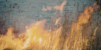 Canada adjusts its WildFireSat strategy to ensure better space based wildfire detection by 2029 Canada adjusts its WildFireSat strategy to ensure better space based wildfire detection by 2029