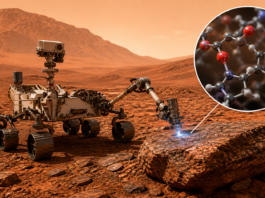 Scientists discover 21 different organic molecules preserved in an ancient Martian lakebed
